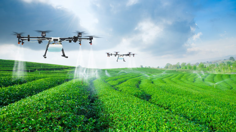 Advancements in Precision Agriculture. 2024