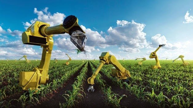 Top AI Innovations Transforming Agriculture in 2024: The Future of Farming