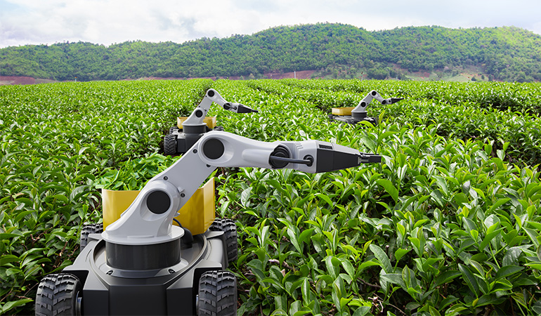 AI computer vision for crop and soil monitoring 2024
